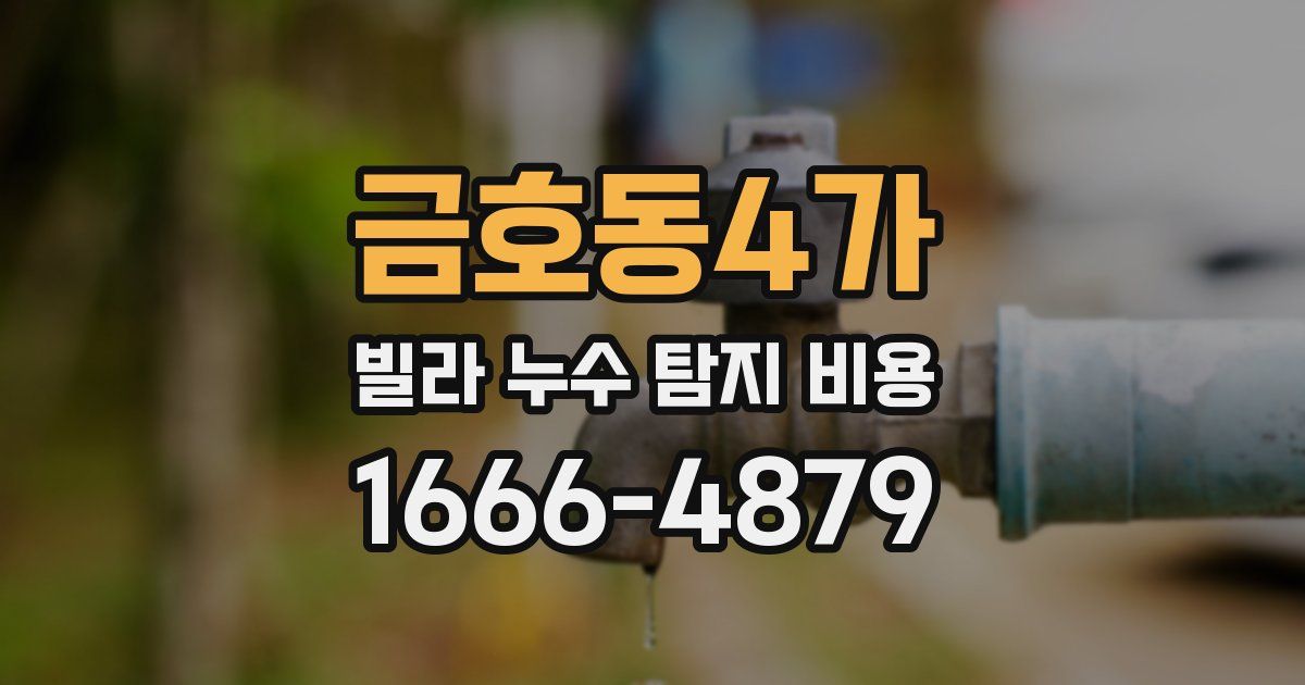 금호동4가 빌라 누수 탐지 비용