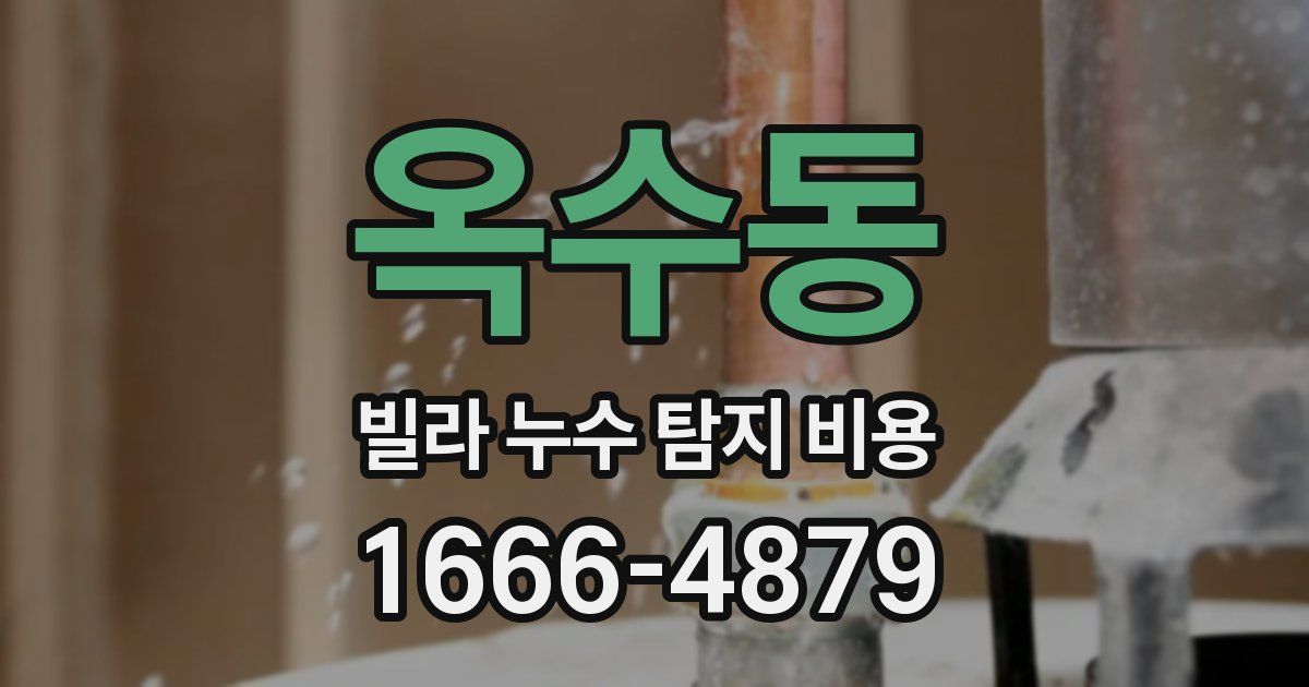 옥수동 빌라 누수 탐지 비용