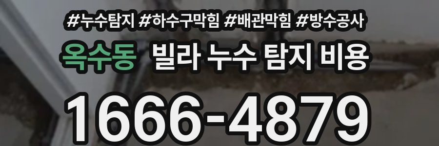 옥수동 빌라 누수 탐지 비용