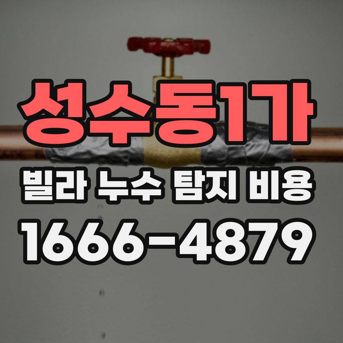 성수동1가 빌라 누수 탐지 비용