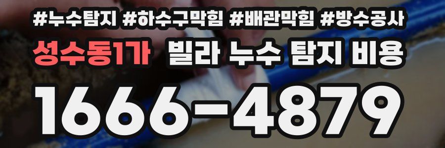 성수동1가 빌라 누수 탐지 비용