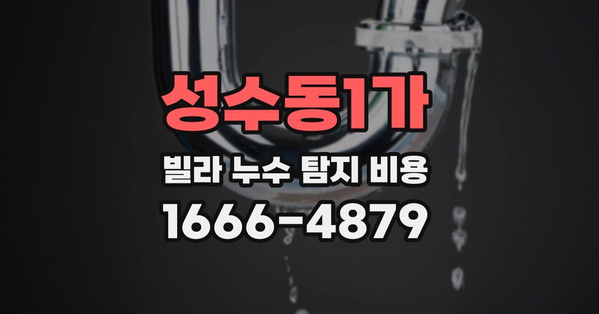 성수동1가 빌라 누수 탐지 비용