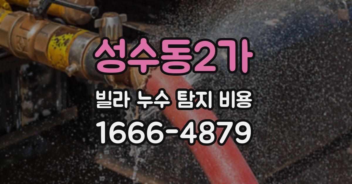 성수동2가 빌라 누수 탐지 비용