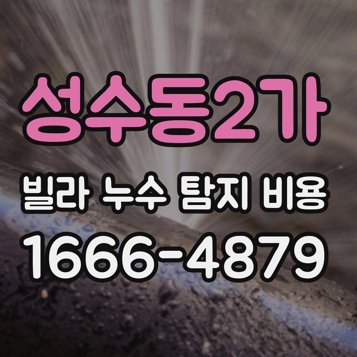 성수동2가 빌라 누수 탐지 비용