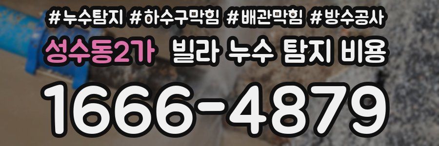 성수동2가 빌라 누수 탐지 비용