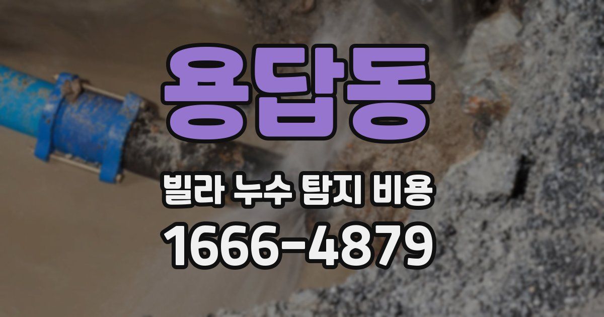 용답동 빌라 누수 탐지 비용