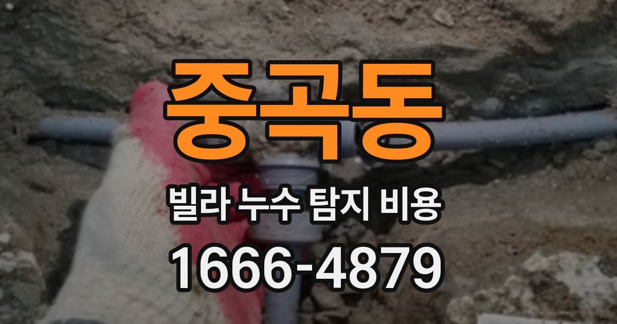 중곡동 빌라 누수 탐지 비용