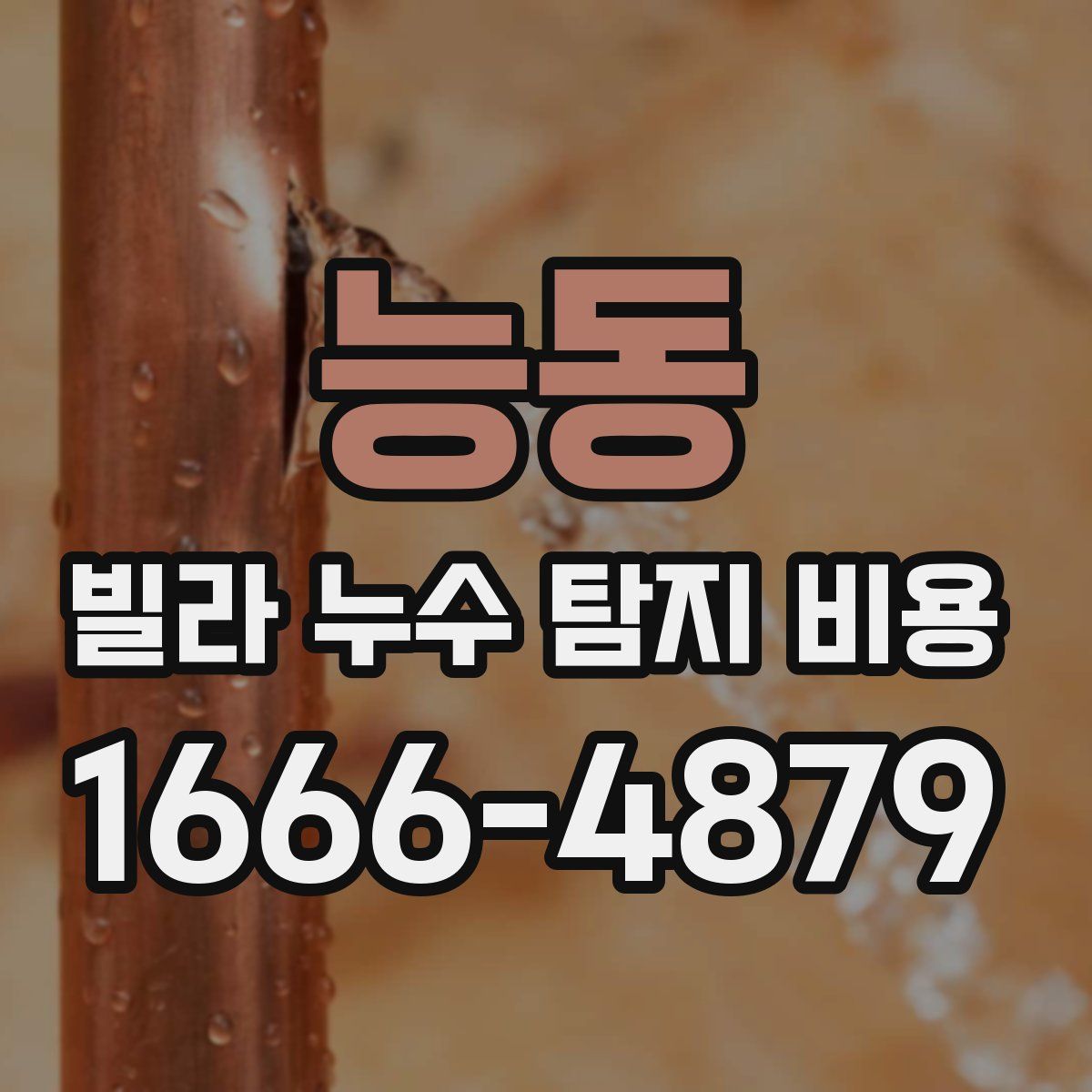 능동 빌라 누수 탐지 비용