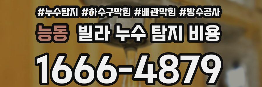 능동 빌라 누수 탐지 비용