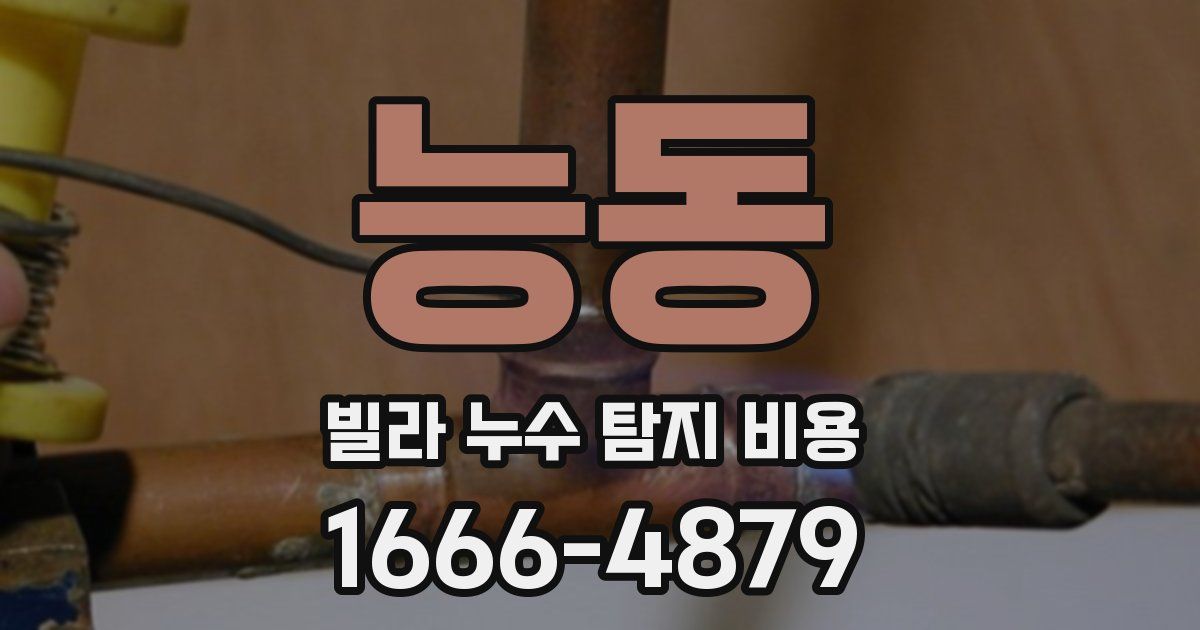 능동 빌라 누수 탐지 비용