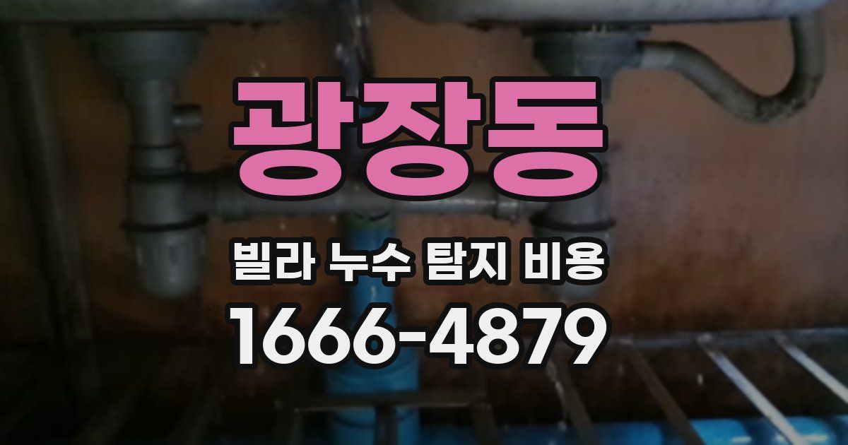 광장동 빌라 누수 탐지 비용