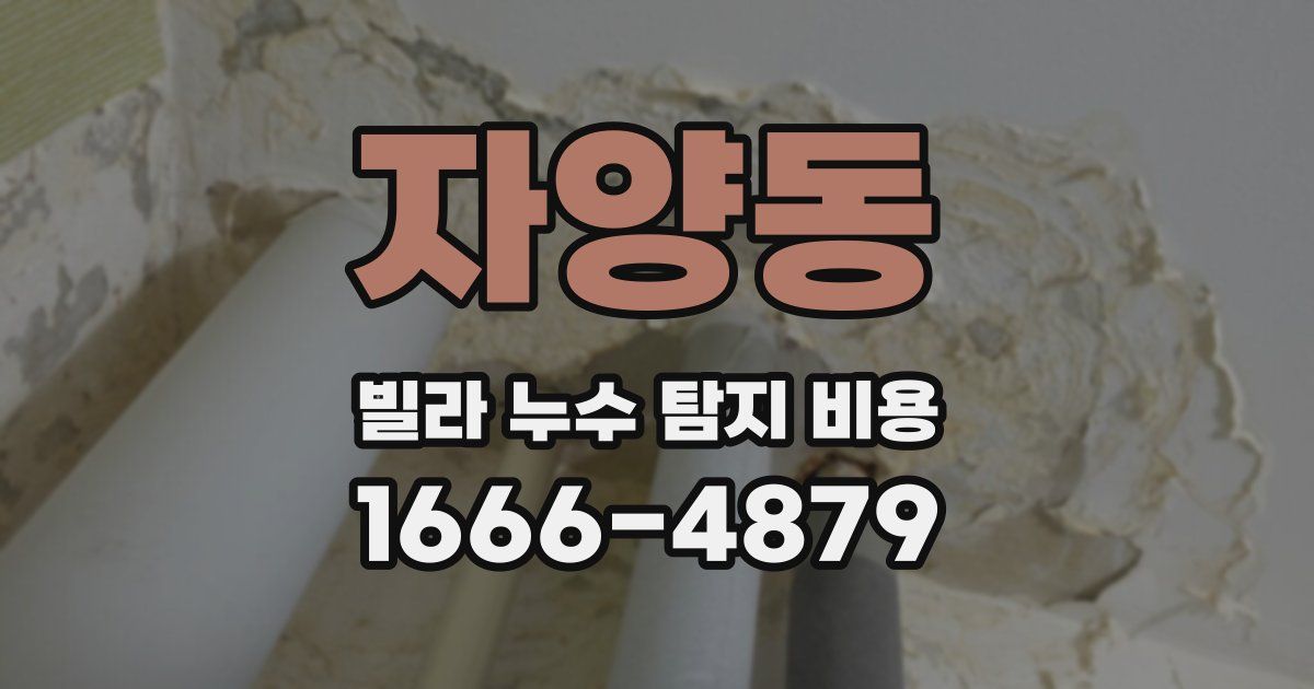 자양동 빌라 누수 탐지 비용