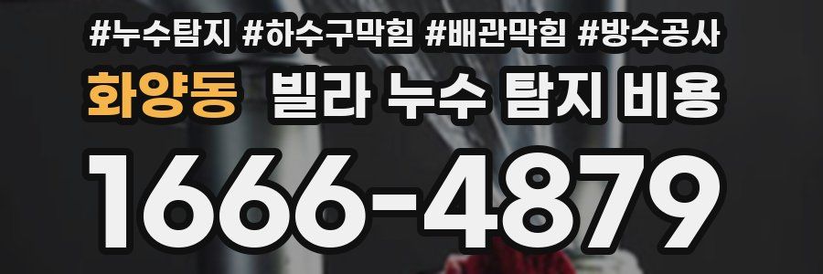 화양동 빌라 누수 탐지 비용