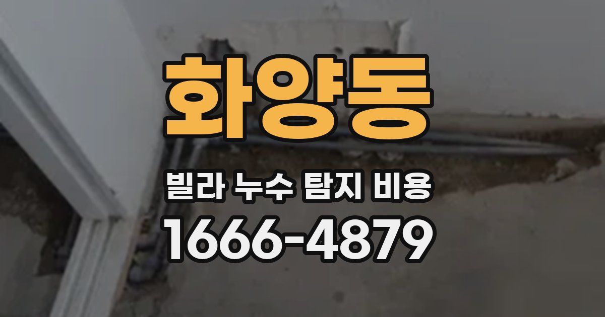 화양동 빌라 누수 탐지 비용