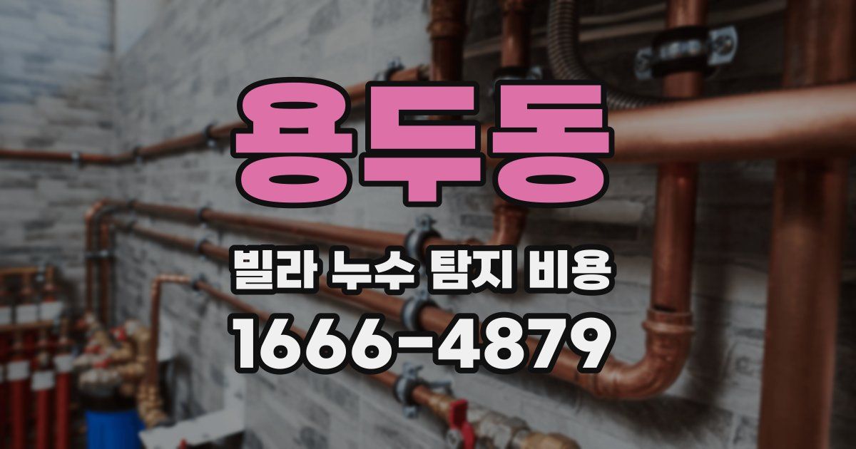 용두동 빌라 누수 탐지 비용