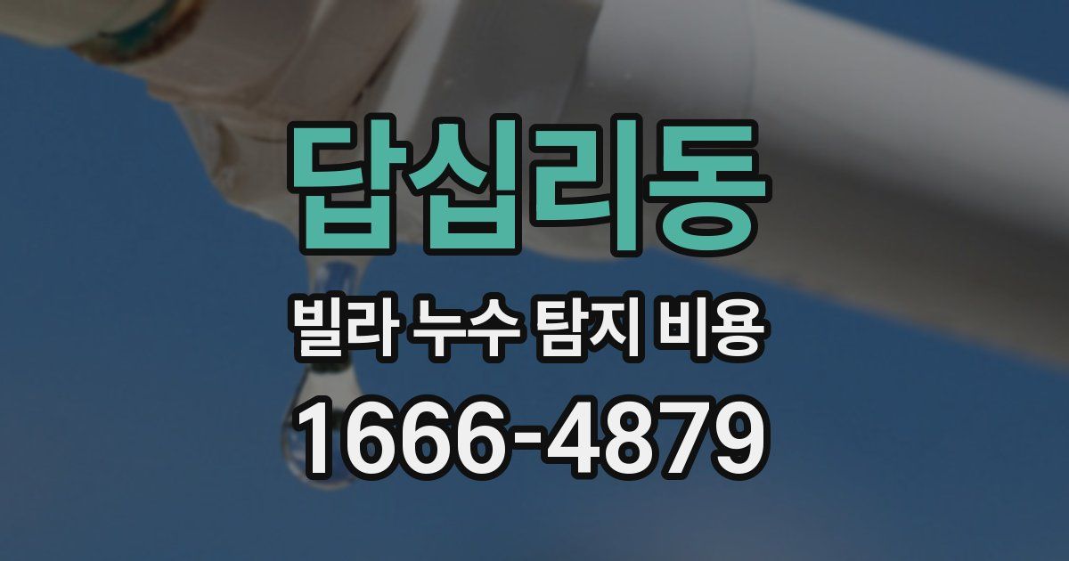 답십리동 빌라 누수 탐지 비용