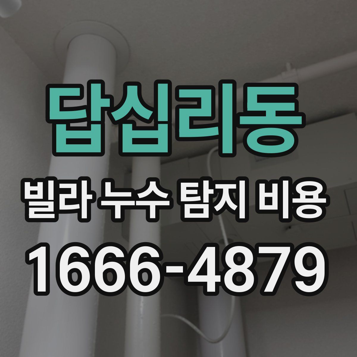 답십리동 빌라 누수 탐지 비용