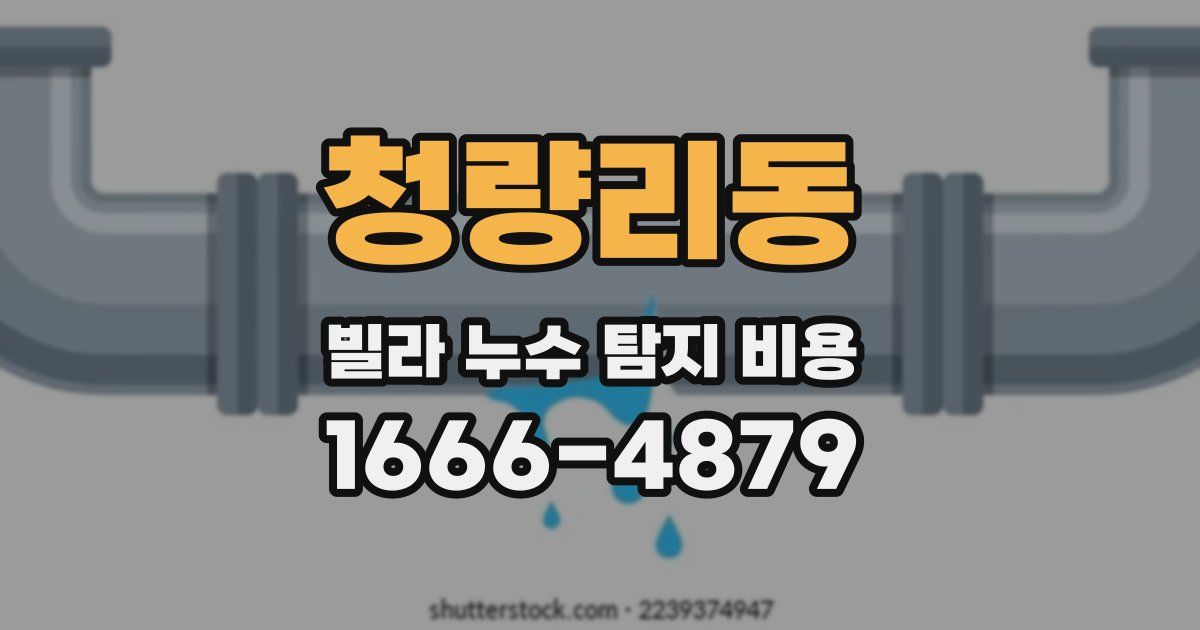청량리동 빌라 누수 탐지 비용