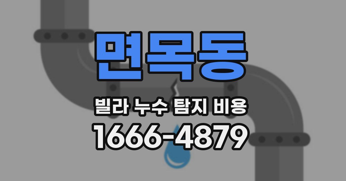 면목동 빌라 누수 탐지 비용