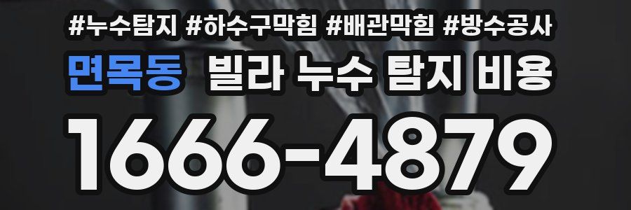 면목동 빌라 누수 탐지 비용