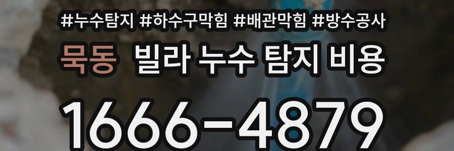 묵동 빌라 누수 탐지 비용