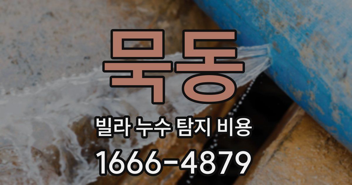 묵동 빌라 누수 탐지 비용