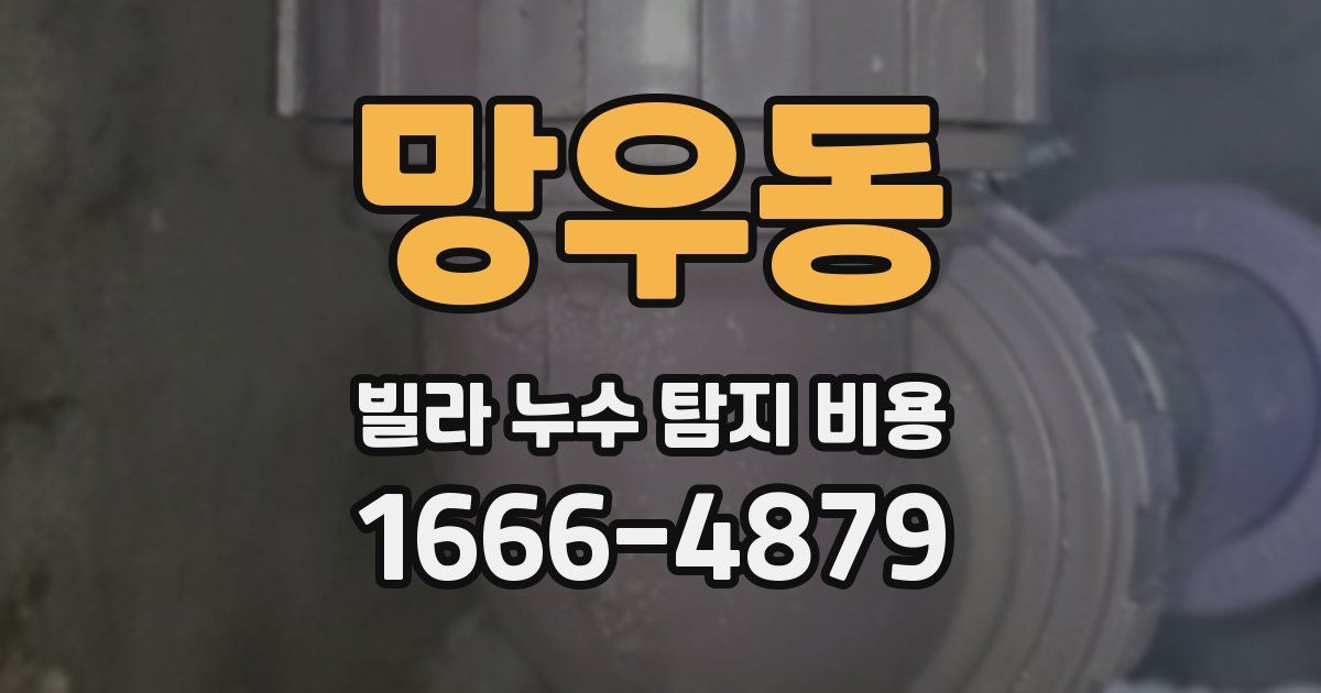 망우동 빌라 누수 탐지 비용