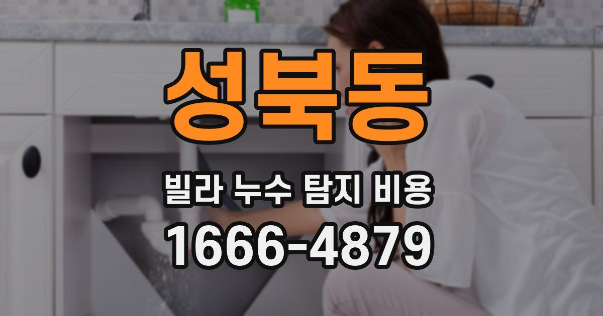 성북동 빌라 누수 탐지 비용