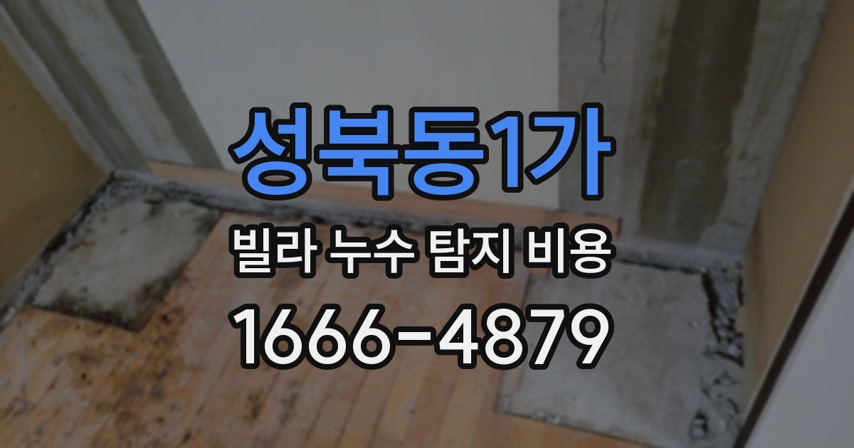 성북동1가 빌라 누수 탐지 비용