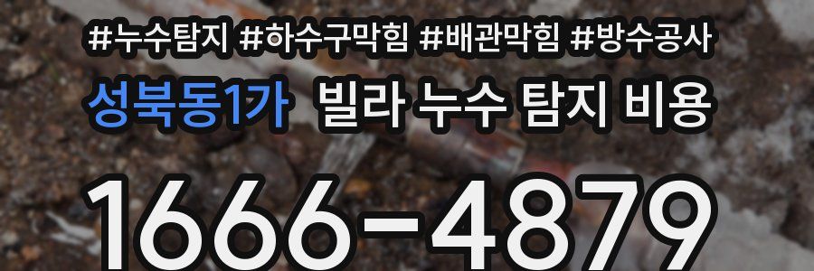 성북동1가 빌라 누수 탐지 비용