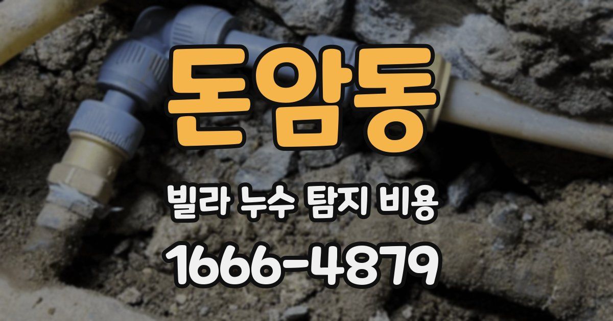 돈암동 빌라 누수 탐지 비용