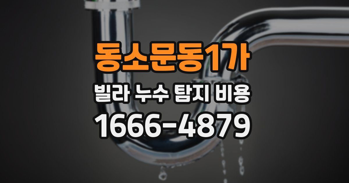 동소문동1가 빌라 누수 탐지 비용