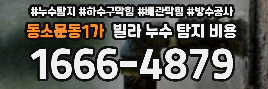 동소문동1가 빌라 누수 탐지 비용