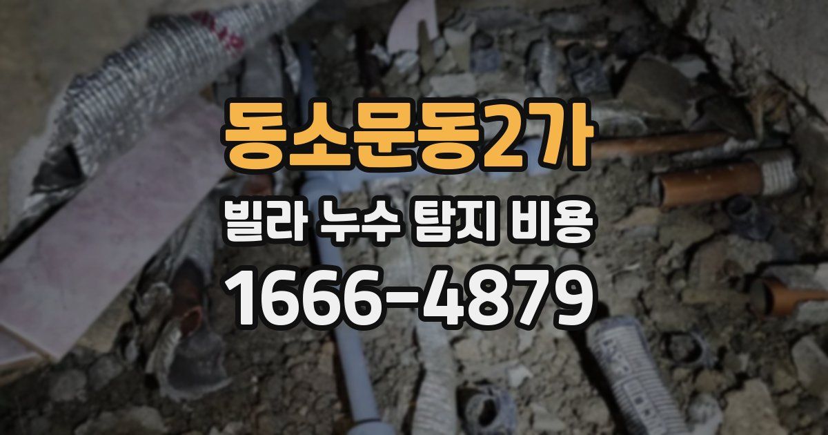 동소문동2가 빌라 누수 탐지 비용
