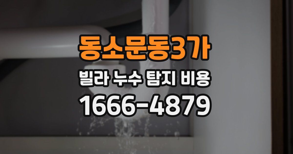 동소문동3가 빌라 누수 탐지 비용