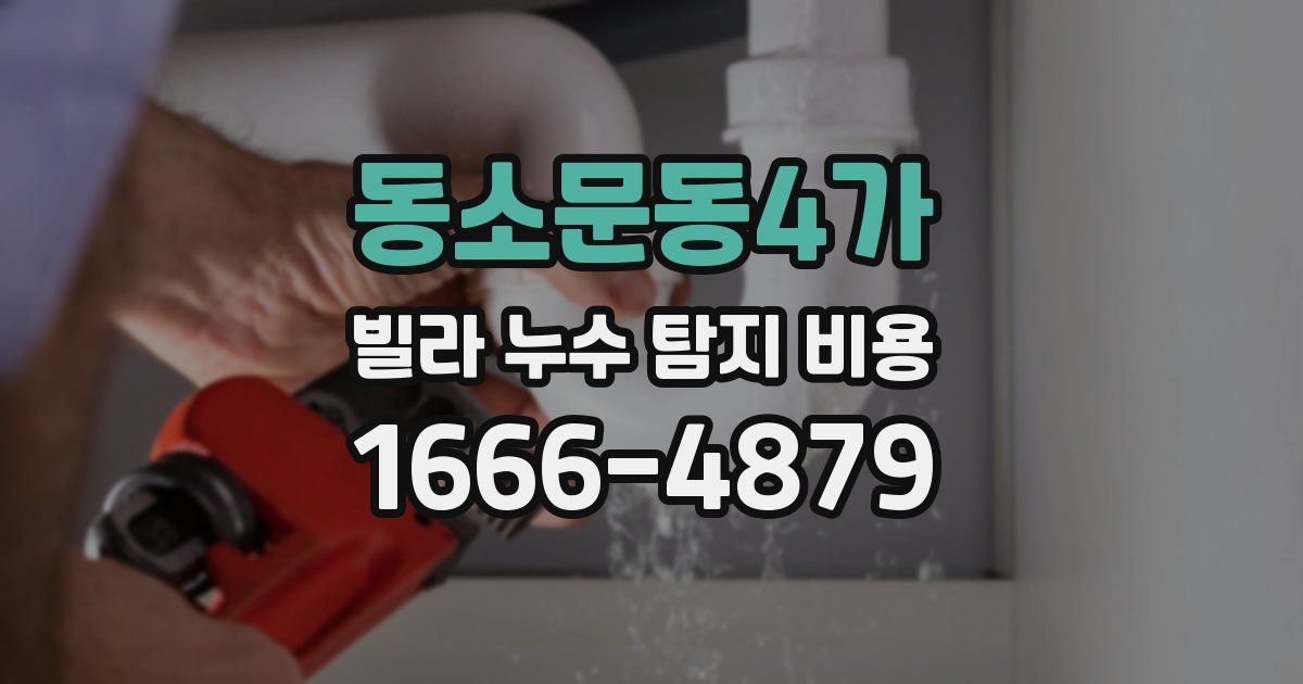 동소문동4가 빌라 누수 탐지 비용