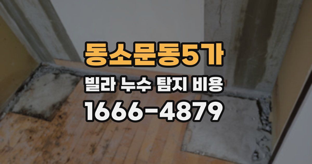 동소문동5가 빌라 누수 탐지 비용