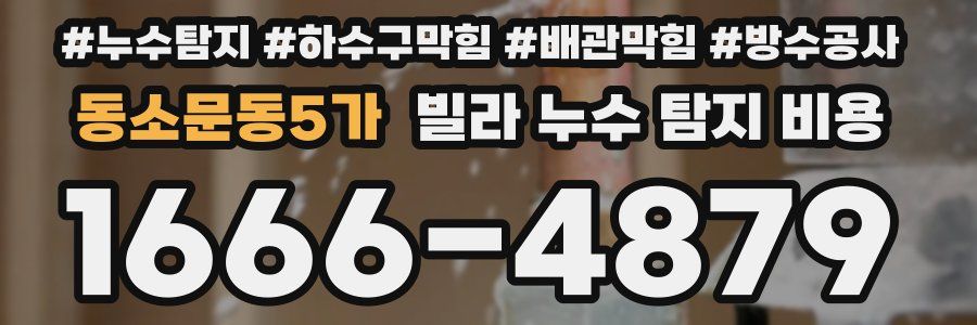 동소문동5가 빌라 누수 탐지 비용