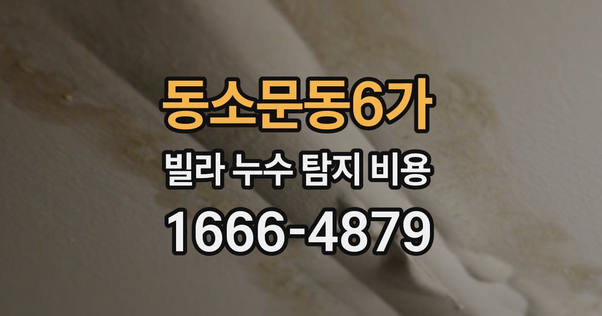 동소문동6가 빌라 누수 탐지 비용
