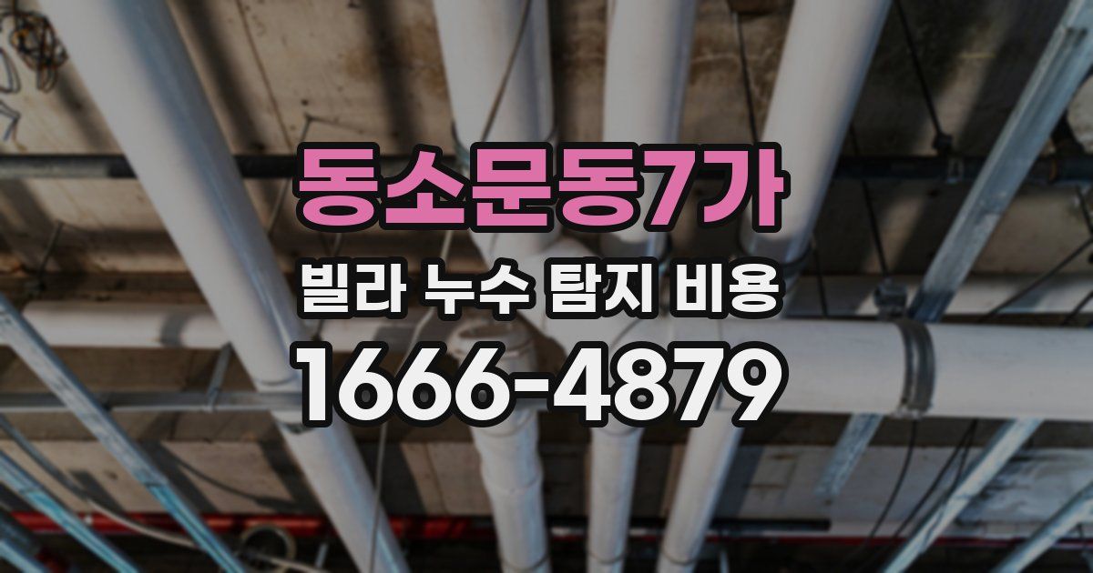 동소문동7가 빌라 누수 탐지 비용