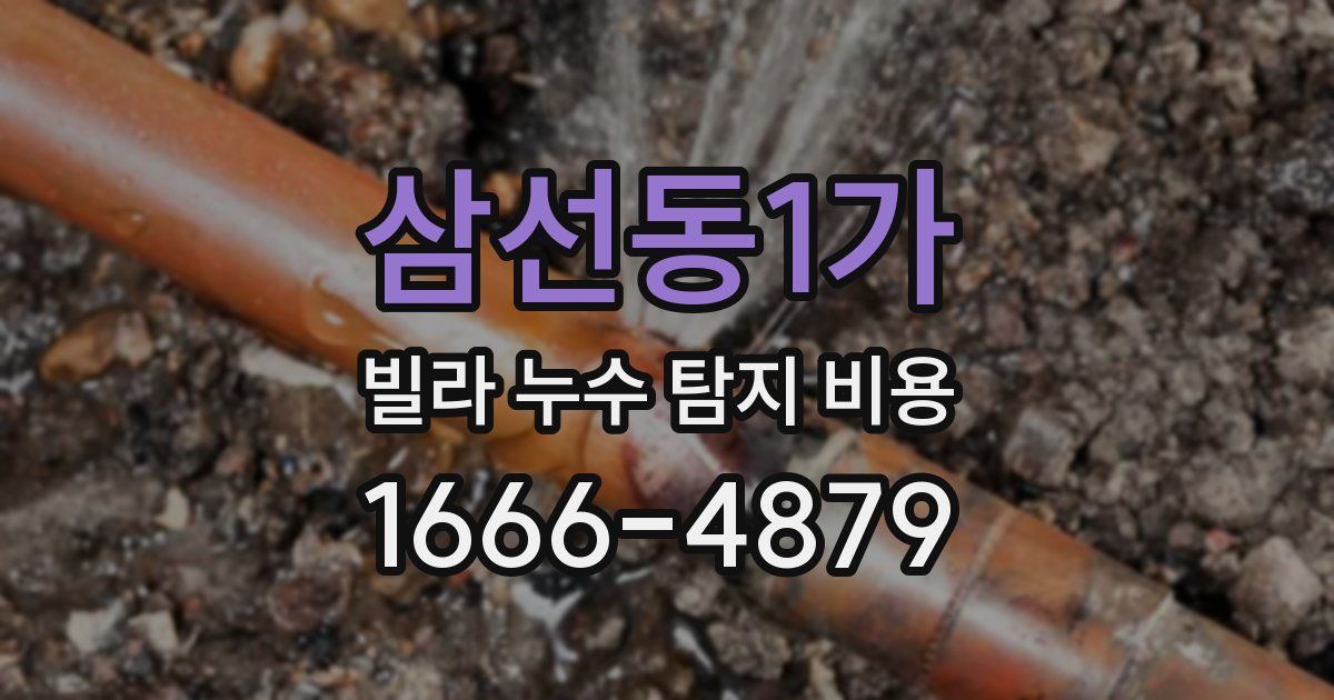 삼선동1가 빌라 누수 탐지 비용