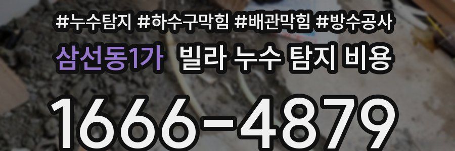 삼선동1가 빌라 누수 탐지 비용