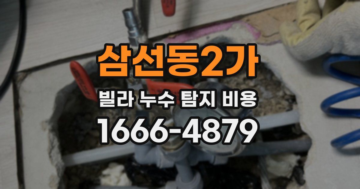 삼선동2가 빌라 누수 탐지 비용
