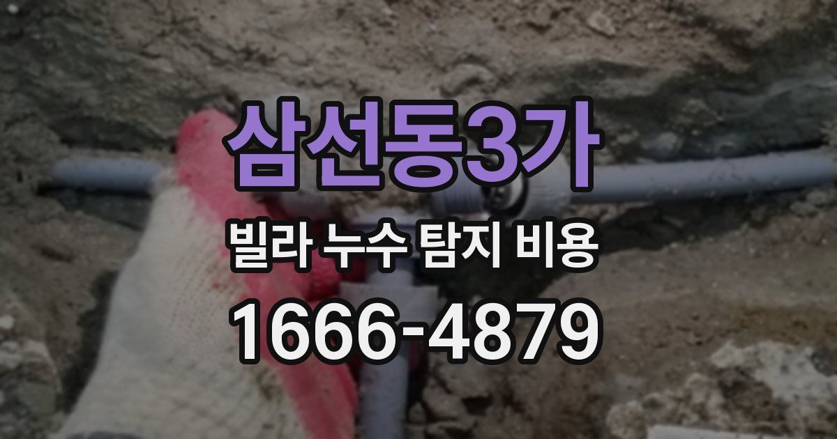 삼선동3가 빌라 누수 탐지 비용