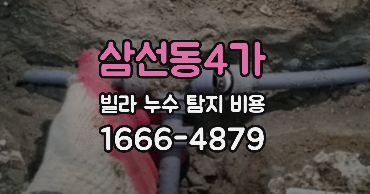 삼선동4가 빌라 누수 탐지 비용