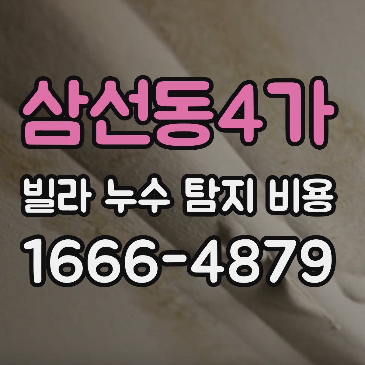 삼선동4가 빌라 누수 탐지 비용
