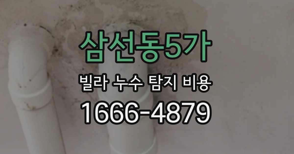 삼선동5가 빌라 누수 탐지 비용