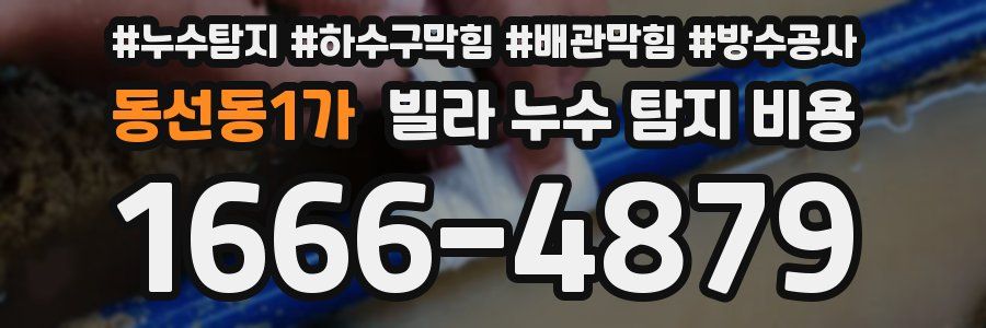 동선동1가 빌라 누수 탐지 비용