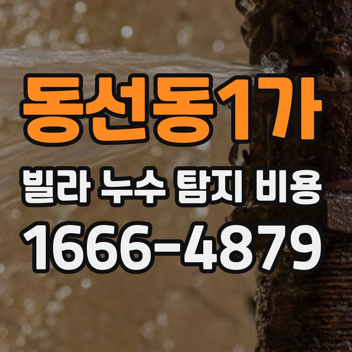 동선동1가 빌라 누수 탐지 비용
