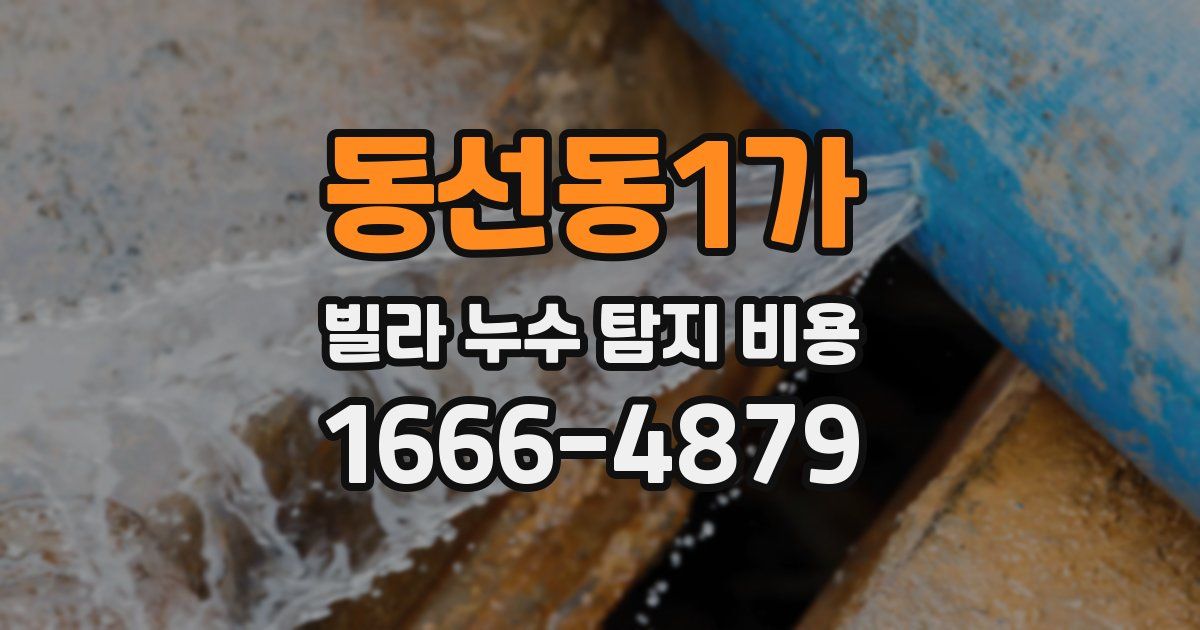 동선동1가 빌라 누수 탐지 비용